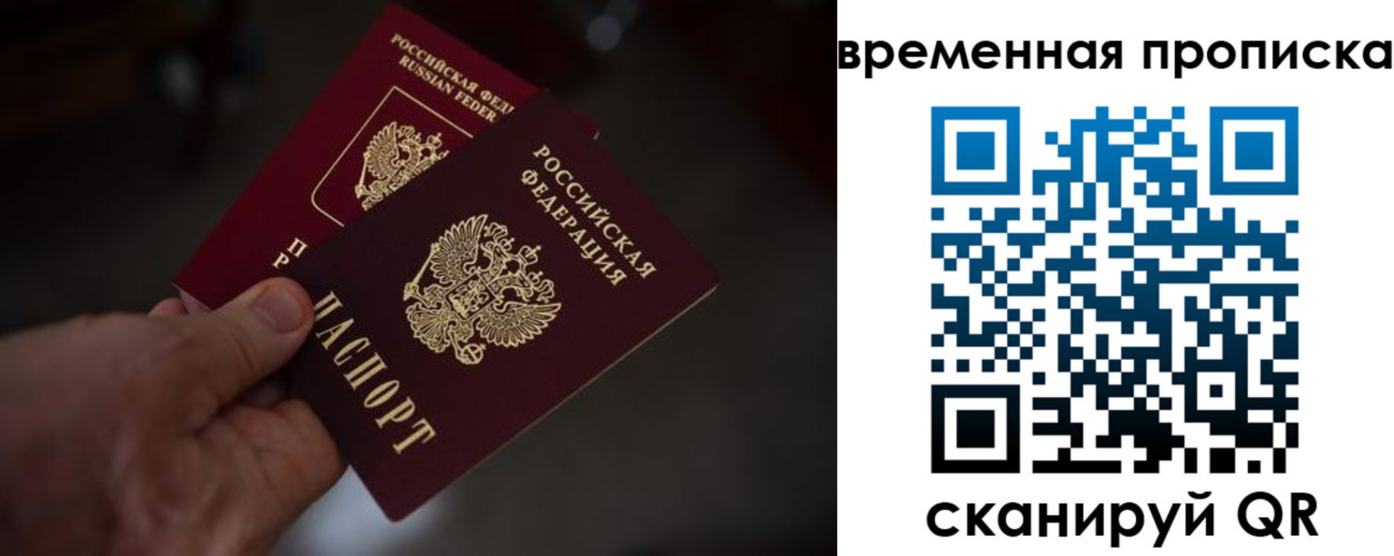 прописка в Зверево